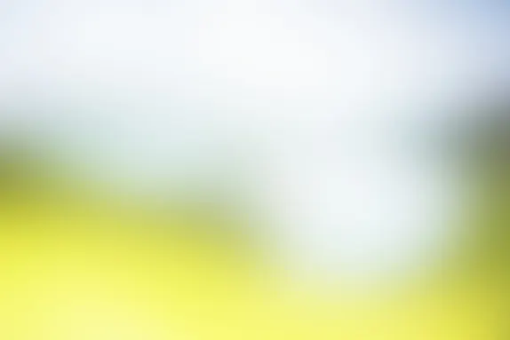 بوكيت وين كازينو الدعم